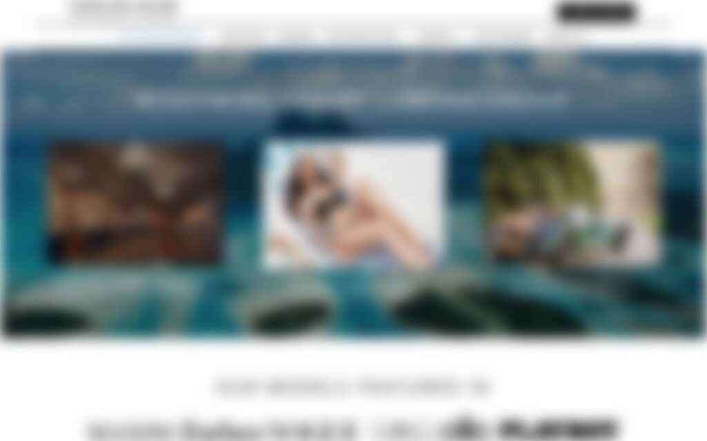 Confidential client project — blurred preview